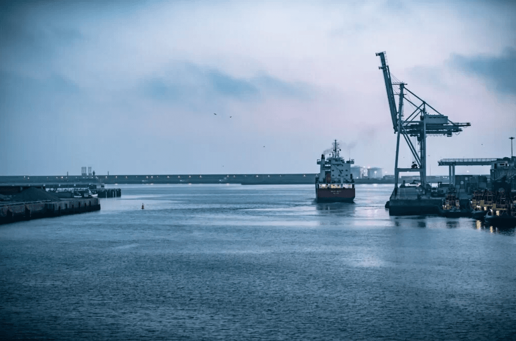 Section 331 Agent and the Importation of Controlled Goods